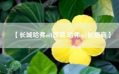 【长城哈弗m1改装,哈弗m1长宽高】