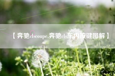 【奔驰clscoupe,奔驰cls车内按键图解】 【奔驰clscoupe,奔驰cls车内按键图解】