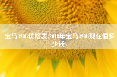 宝马320li价格表(2018年宝马320li现在值多少钱)