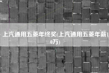 上汽通用五菱年终奖(上汽通用五菱年薪10万) 上汽通用五菱年终奖(上汽通用五菱年薪10万)