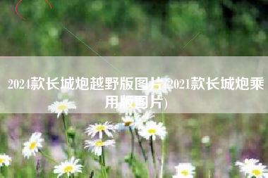 2024款长城炮越野版图片(2021款长城炮乘用版图片)