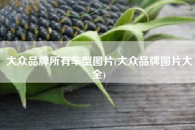 大众品牌所有车型图片(大众品牌图片大全)