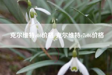 克尔维特z06价格/克尔维特c7z06价格