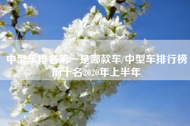 中型车排名第一是哪款车/中型车排行榜前十名2020年上半年