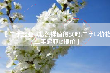 【二手起亚k5怎么样值得买吗,二手k5价格 二手起亚k5报价】