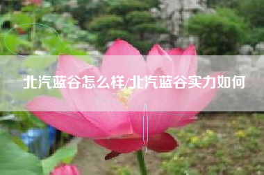 北汽蓝谷怎么样/北汽蓝谷实力如何 北汽蓝谷怎么样/北汽蓝谷实力如何