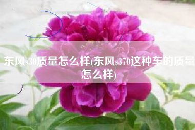 东风s30质量怎么样(东风s370这种车的质量怎么样)
