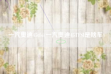 一汽奥迪45tfsi(一汽奥迪45TFSI是啥车)
