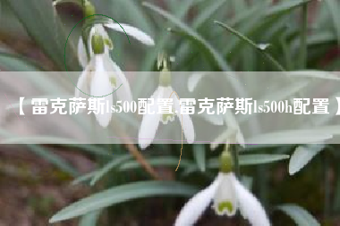 【雷克萨斯ls500配置,雷克萨斯ls500h配置】