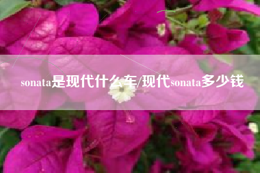 sonata是现代什么车/现代sonata多少钱