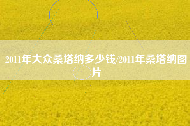 2011年大众桑塔纳多少钱/2011年桑塔纳图片