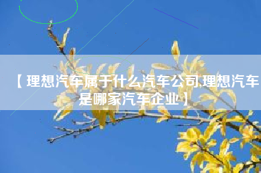 【理想汽车属于什么汽车公司,理想汽车是哪家汽车企业】 【理想汽车属于什么汽车公司,理想汽车是哪家汽车企业】
