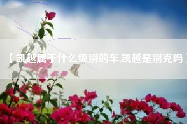 【凯越属于什么级别的车,凯越是别克吗】