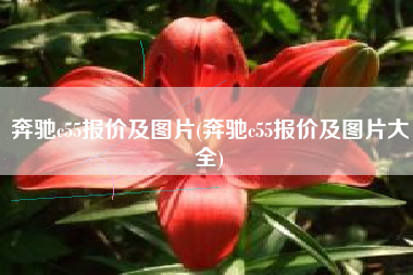 奔驰c55报价及图片(奔驰c55报价及图片大全)