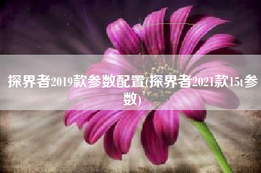 探界者2019款参数配置(探界者2021款15t参数)