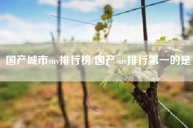 国产城市suv排行榜/国产suv排行第一的是
