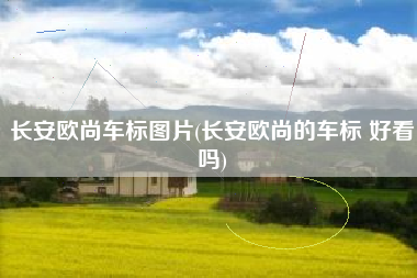 长安欧尚车标图片(长安欧尚的车标 好看吗)