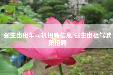 强生出租车司机招聘信息/强生出租驾驶员招聘