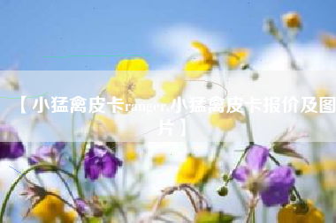 【小猛禽皮卡ranger,小猛禽皮卡报价及图片】