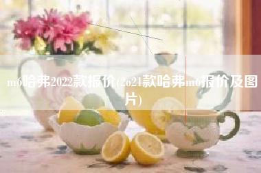 m6哈弗2022款报价(2o21款哈弗m6报价及图片)