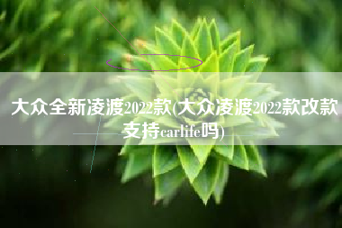 大众全新凌渡2022款(大众凌渡2022款改款支持carlife吗)
