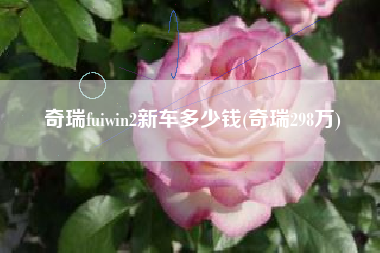奇瑞fuiwin2新车多少钱(奇瑞298万)