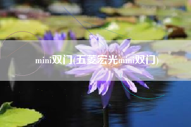 mini双门(五菱宏光mini双门)