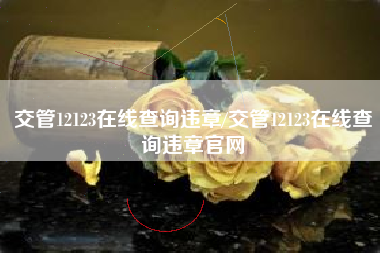 交管12123在线查询违章/交管12123在线查询违章官网