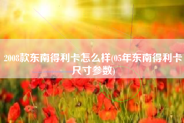 2008款东南得利卡怎么样(05年东南得利卡尺寸参数)