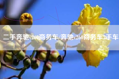 二手奔驰v260商务车/奔驰v260商务车2手车 二手奔驰v260商务车/奔驰v260商务车2手车