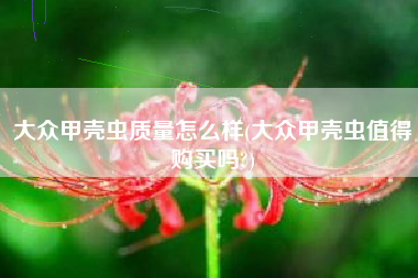 大众甲壳虫质量怎么样(大众甲壳虫值得购买吗?)