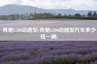奔驰b200动感型(奔驰b200动感型汽车多少钱一辆) 奔驰b200动感型(奔驰b200动感型汽车多少钱一辆)