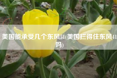 美国能承受几个东风51(美国拦得住东风41吗)