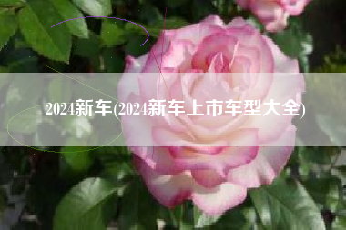 2024新车(2024新车上市车型大全)