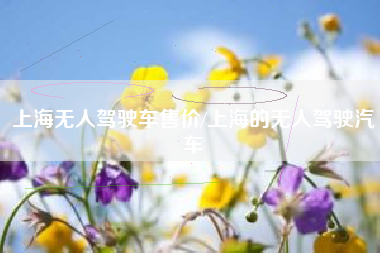 上海无人驾驶车售价/上海的无人驾驶汽车 上海无人驾驶车售价/上海的无人驾驶汽车