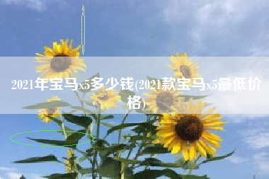 2021年宝马x5多少钱(2021款宝马x5最低价格)