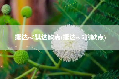 捷达vs5骐达缺点(捷达vs 5的缺点)