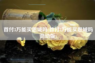 首付3万能买思域吗(首付3万能买思域吗劲动版)