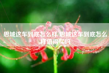 思域这车到底怎么样/思域这车到底怎么样值得买吗