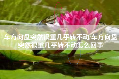 车方向盘突然很重几乎转不动/车方向盘突然很重几乎转不动怎么回事