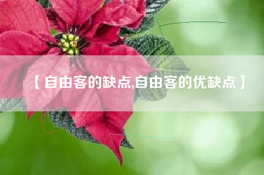 【自由客的缺点,自由客的优缺点】
