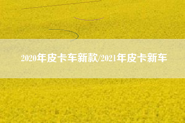 2020年皮卡车新款/2021年皮卡新车