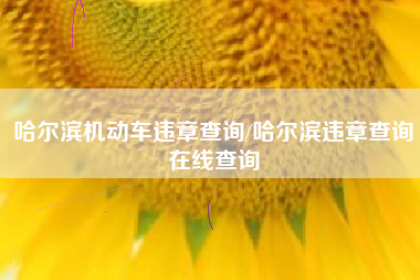 哈尔滨机动车违章查询/哈尔滨违章查询在线查询