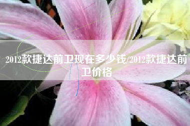 2012款捷达前卫现在多少钱/2012款捷达前卫价格