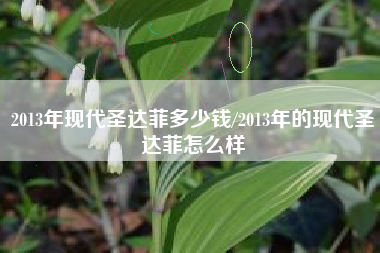 2013年现代圣达菲多少钱/2013年的现代圣达菲怎么样