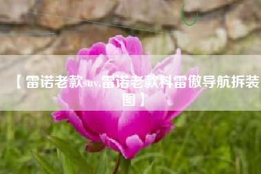 【雷诺老款suv,雷诺老款科雷傲导航拆装图】