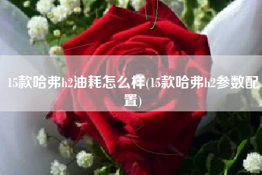 15款哈弗h2油耗怎么样(15款哈弗h2参数配置) 15款哈弗h2油耗怎么样(15款哈弗h2参数配置)