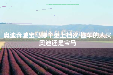 奥迪奔驰宝马哪个更上档次/懂车的人买奥迪还是宝马