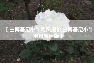 【兰博基尼小牛飓风报价,兰博基尼小牛飓风赛道版】