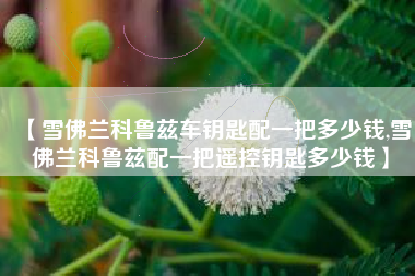 【雪佛兰科鲁兹车钥匙配一把多少钱,雪佛兰科鲁兹配一把遥控钥匙多少钱】